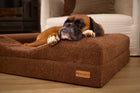 Infrared Dog Bed Close up image 