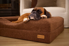 Infrared Dog Bed Close up image 