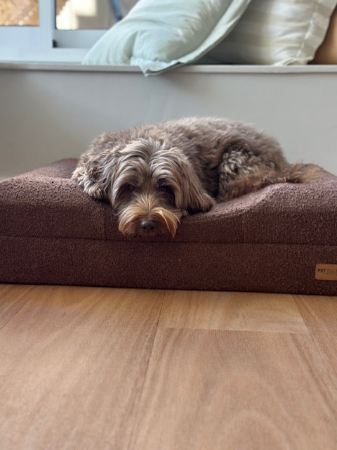 Designed for dogs who deserve our loving support
