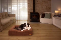 Infrared Recovery Bed