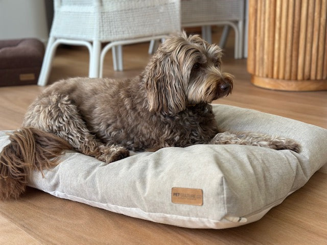 Niclyn Star. Pappi on our Infrared Launch 'n Lounge Mat.