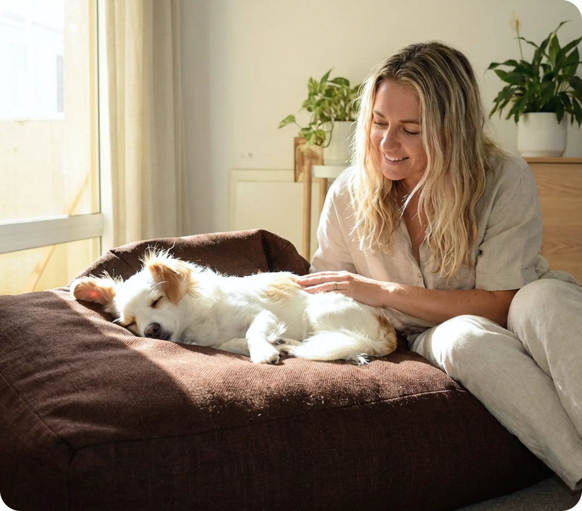 How Pet Culture Co began