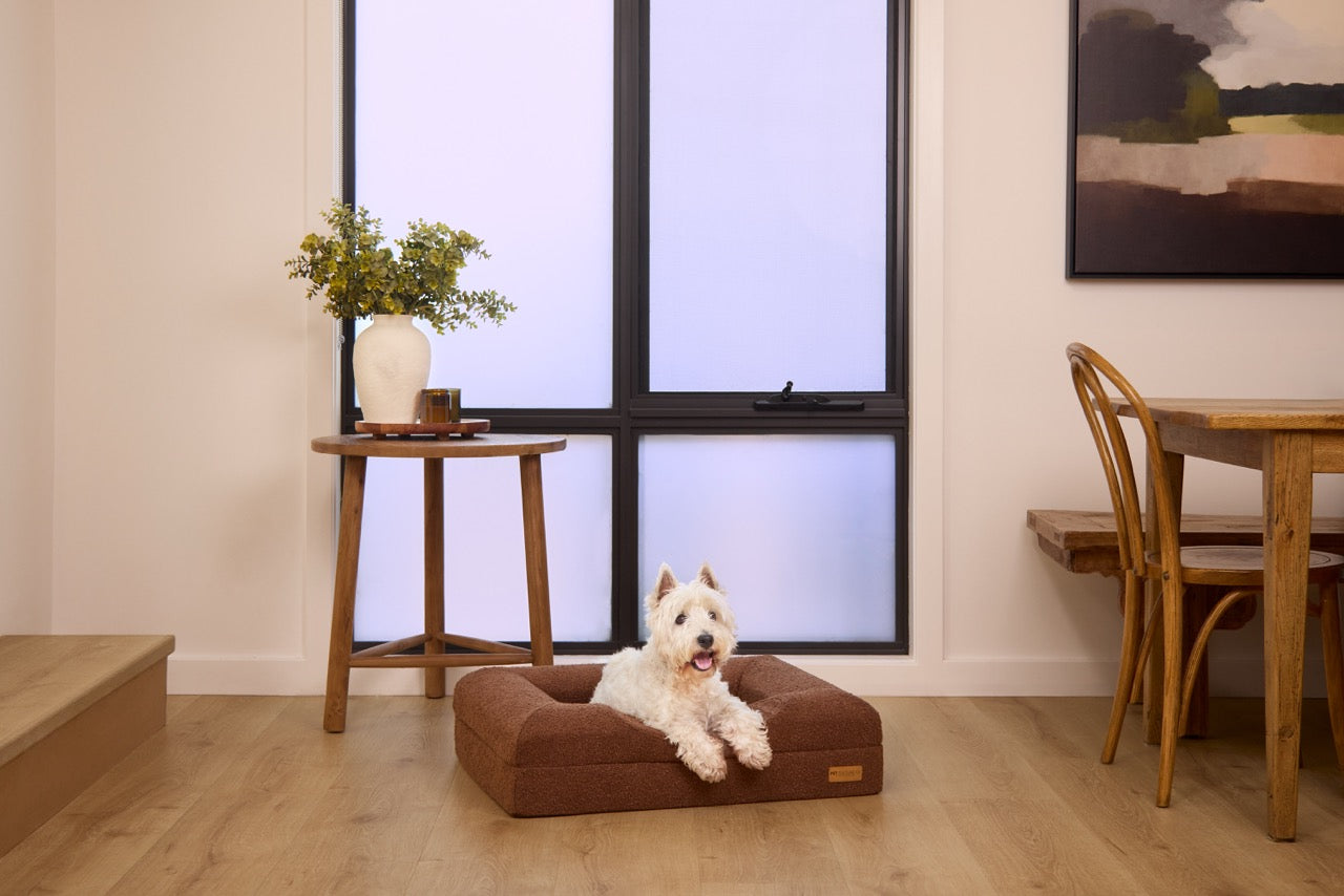 Infrared Recovery Bed